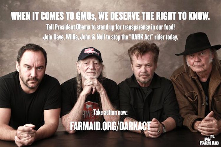 gmos