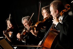 fiddler